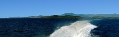 pins-ferry_5img